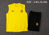 2025 Borussia Dortmund Adult Training Vest Set