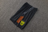 2025 Benfica Adult Training Vest Set