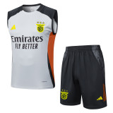 2025 Benfica Adult Training Vest Set