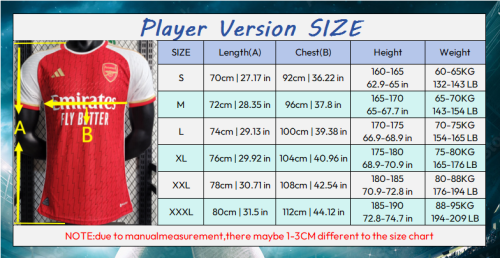 25/26 Atletico Madrid Polo Jersey Player Version