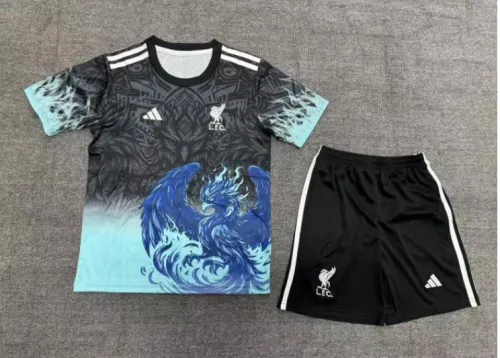 25/26 Liverpool Special Edition Kids Kit