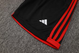 25/26 Flamengo Adult Training Vest Set