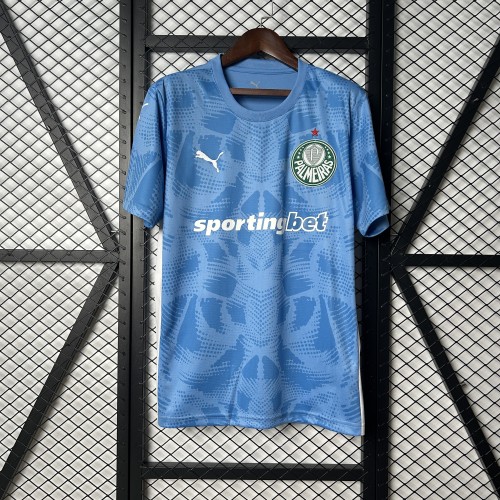 25/26 Palmeiras Goalkeeper Jersey | Fan Version