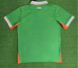 25/26 Northern Ireland Home Jersey | Fan Version