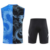 25/26 Real Madrid Adult Training Vest Set