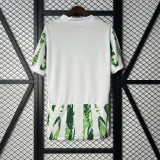 2025 Nigeria  Home Man Jersey | Fan Version