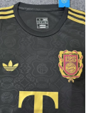 25/26 Bayern Munich 125th Anniversary Jersey  | Fan Version