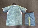 25/26 Juventus Away Adult uniforms