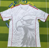 25/26 Benfica Training Man Jersey | Fan Version