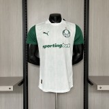 25/26 Palmeiras Away  | Player Version