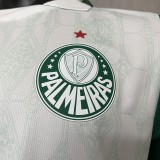 25/26 Palmeiras Away  | Player Version