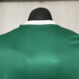 25/26 Palmeiras Home  | Player Version