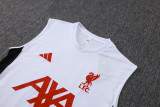 25/26 Liverpool Adult Training Vest Set
