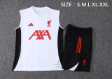 25/26 Liverpool Adult Training Vest Set
