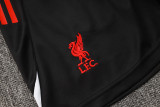 25/26 Liverpool Adult Training Vest Set