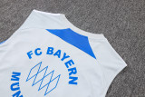 25/26 Bayern Munich Adult Training Vest Set