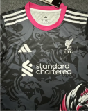 25/26 Liverpool Special Edition Man Jersey | Fan Version