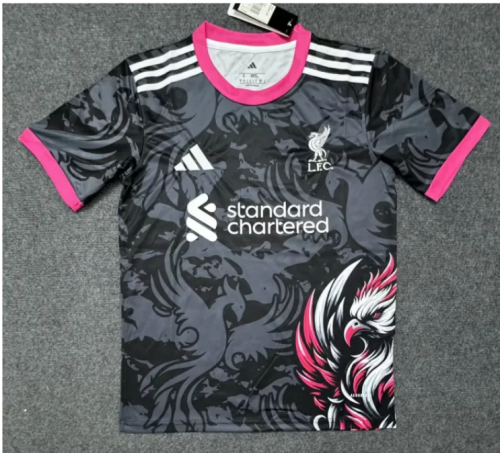 25/26 Liverpool Special Edition Man Jersey | Fan Version