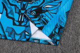 25/26 Napoli Adult Tracksuits