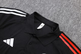 25/26  Ajax Polo Jersey