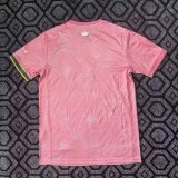 25/26 Brazil Special Edition Jersey | Fan Version