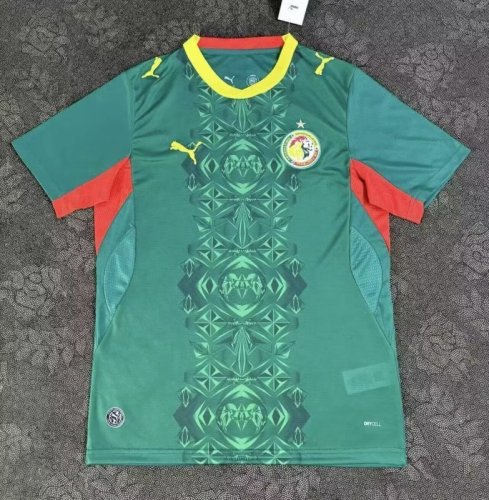 2026 Senegal Away Jersey | Fan Version