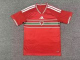 2026 Wales World Cup Home Men Jersey | Fan Version