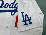 MLB Los Angeles Dodger Full Team Customizable-Heat-Press logo-White