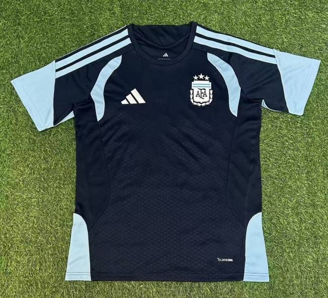 2026 Argentina World Cup Training Men Jersey | Fan Version