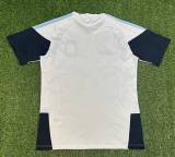 2026 Argentina World Cup Training Men Jersey | Fan Version