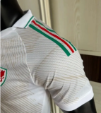 2026 Wales World Cup Away Men Jersey | Player Version
