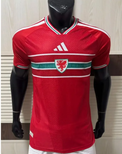 2026 Wales World Cup Home Men Jersey | Player Version