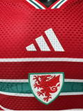 2026 Wales World Cup Home Men Jersey | Player Version