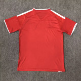 2026 Wales Special Edition Men Jersey | Fan Version