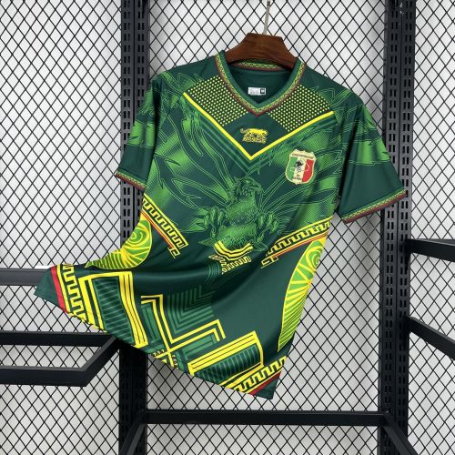 26/27 Mali Away Jersey | Fan Version