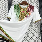 26/27 Mali Home Jersey | Fan Version