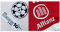 UCL + Arm ad（10 years）