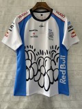 2025 F1 Red Bull Racing Shirt
