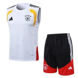 26/27 Germany Adult Training Vest Set