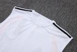 26/27 Germany Adult Training Vest Set