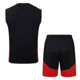 26/27 Germany Adult Training Vest Set