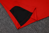 26/27 Germany Adult Training Vest Set