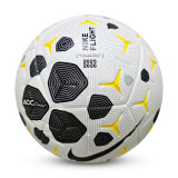 Size 5 Thermal Bonding Leather Outdoor Soccer Ball (Nike)