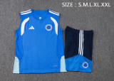 26/27 Cruzeiro Adult Training Vest Set