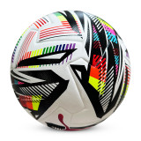 Size 5 Thermal Bonding Leather Outdoor Soccer Ball (Puma)