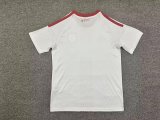 26/27 Toronto Away Man Jersey | Fan Version