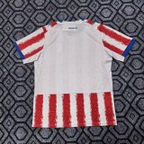 2026 Paraguay World Cup Home Man Jersey | Fan Version