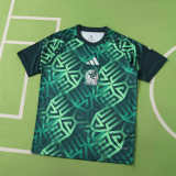 2026 Mexico World Cup Training Men Jersey | Fan Version