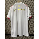 25/26 PSV Eindhoven Special Edition Jersey | Fan Version