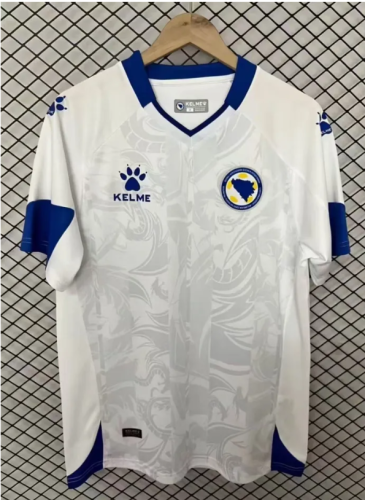 2025 Bosnia and Herzegovina Away Man Jersey | Fan Version